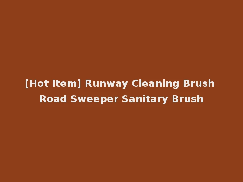 [Hot Item] Runway Cleaning Brush Road Sweeper Sanitary Brush