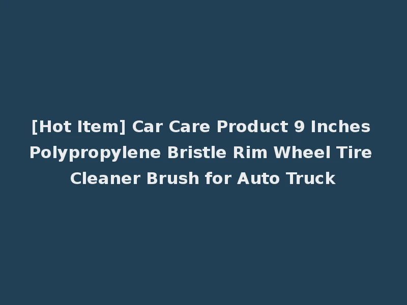 [Hot Item] Car Care Product 9 Inches Polypropylene Bristle Rim Wheel Tire Cleaner Brush for Auto Truck