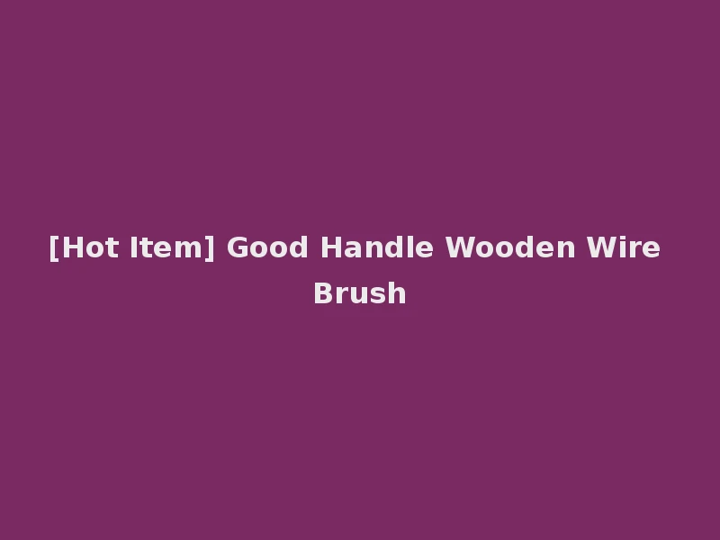 [Hot Item] Good Handle Wooden Wire Brush