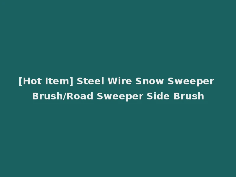 [Hot Item] Steel Wire Snow Sweeper Brush/Road Sweeper Side Brush
