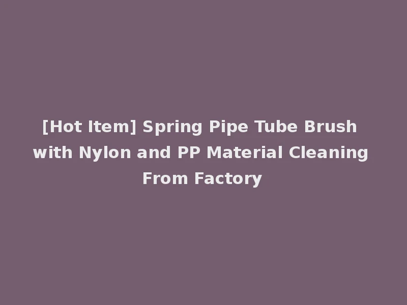 [Hot Item] Spring Pipe Tube Brush with Nylon and PP Material Cleaning From Factory