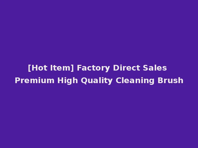 [Hot Item] Factory Direct Sales Premium High Quality Cleaning Brush