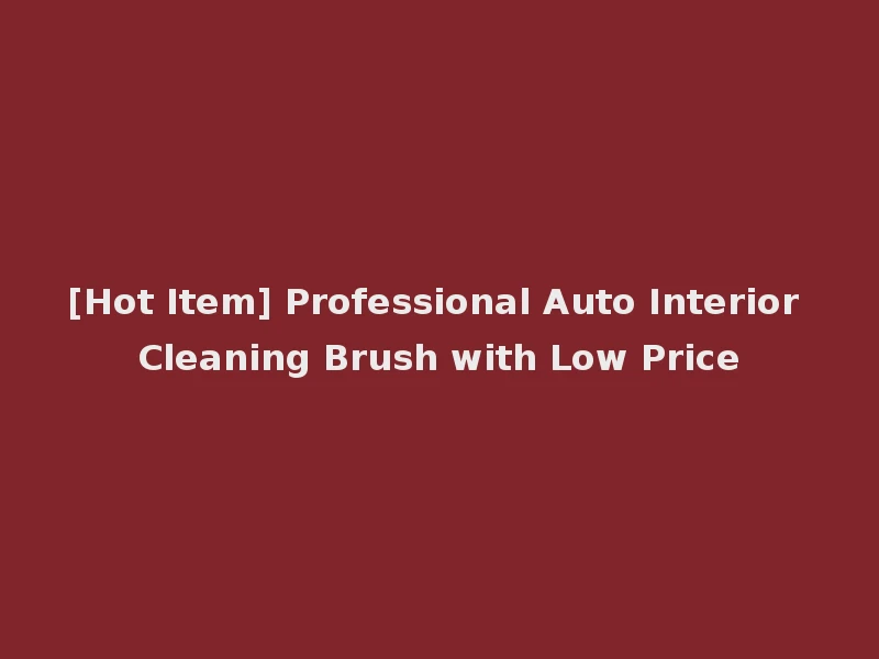 [Hot Item] Professional Auto Interior Cleaning Brush with Low Price