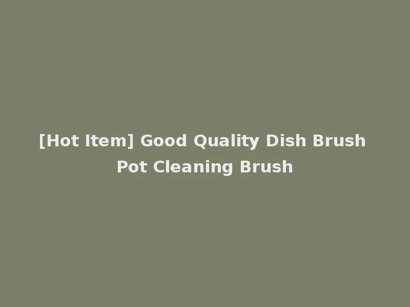 [Hot Item] Good Quality Dish Brush Pot Cleaning Brush