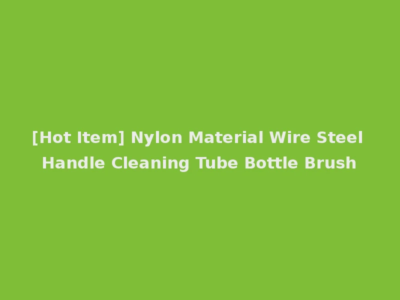 [Hot Item] Nylon Material Wire Steel Handle Cleaning Tube Bottle Brush
