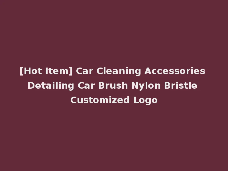 [Hot Item] Car Cleaning Accessories Detailing Car Brush Nylon Bristle Customized Logo
