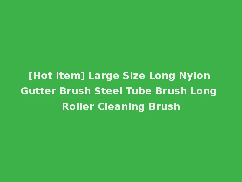 [Hot Item] Large Size Long Nylon Gutter Brush Steel Tube Brush Long Roller Cleaning Brush