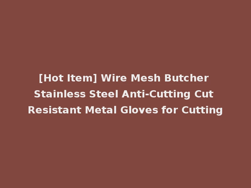 [Hot Item] Wire Mesh Butcher Stainless Steel Anti-Cutting Cut Resistant Metal Gloves for Cutting