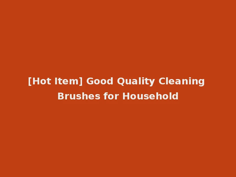 [Hot Item] Good Quality Cleaning Brushes for Household