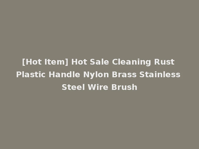 [Hot Item] Hot Sale Cleaning Rust Plastic Handle Nylon Brass Stainless Steel Wire Brush