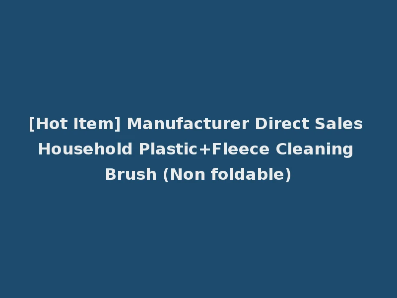 [Hot Item] Manufacturer Direct Sales Household Plastic+Fleece Cleaning Brush (Non foldable)