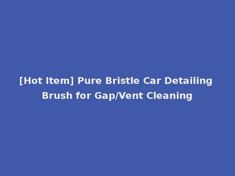 [Hot Item] Pure Bristle Car Detailing Brush for Gap/Vent Cleaning