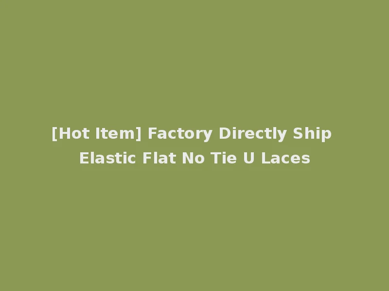 [Hot Item] Factory Directly Ship Elastic Flat No Tie U Laces
