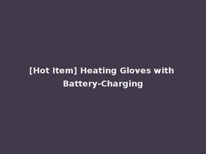 [Hot Item] Heating Gloves with Battery-Charging