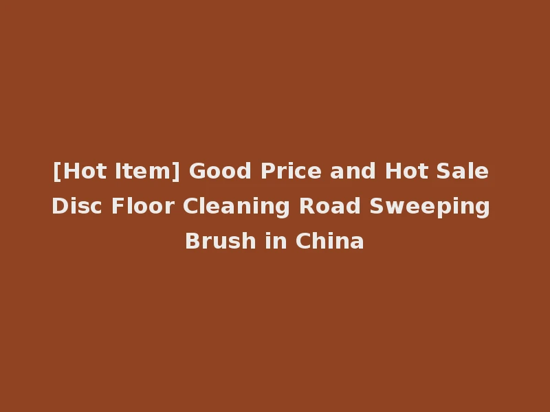 [Hot Item] Good Price and Hot Sale Disc Floor Cleaning Road Sweeping Brush in China