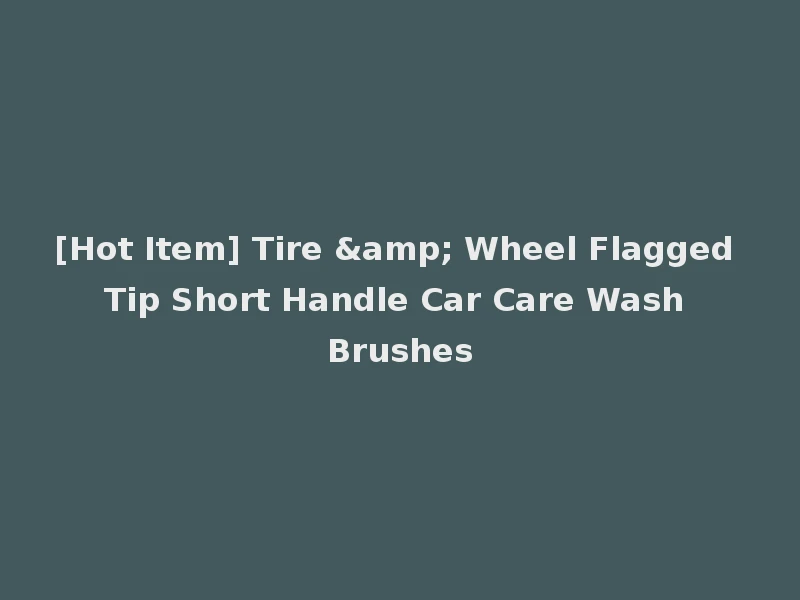 [Hot Item] Tire & Wheel Flagged Tip Short Handle Car Care Wash Brushes