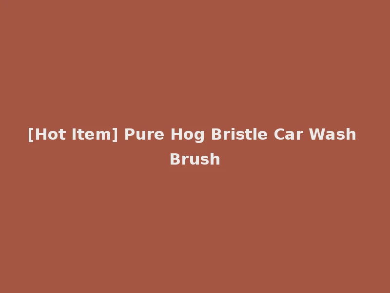 [Hot Item] Pure Hog Bristle Car Wash Brush