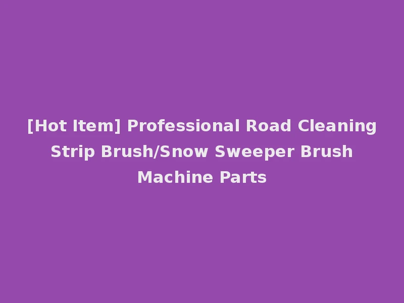 [Hot Item] Professional Road Cleaning Strip Brush/Snow Sweeper Brush Machine Parts