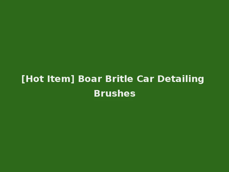 [Hot Item] Boar Britle Car Detailing Brushes