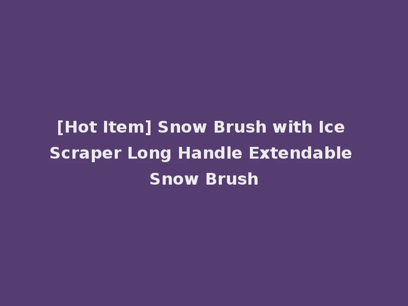[Hot Item] Snow Brush with Ice Scraper Long Handle Extendable Snow Brush