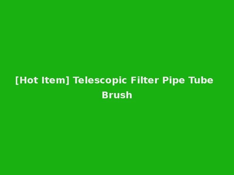 [Hot Item] Telescopic Filter Pipe Tube Brush
