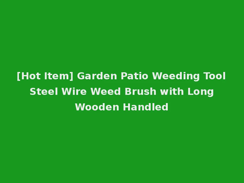 [Hot Item] Garden Patio Weeding Tool Steel Wire Weed Brush with Long Wooden Handled