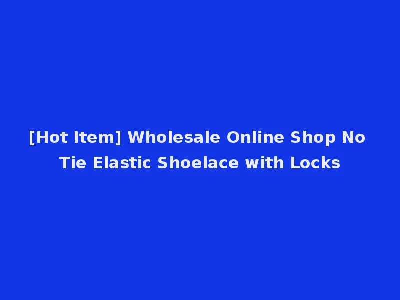[Hot Item] Wholesale Online Shop No Tie Elastic Shoelace with Locks