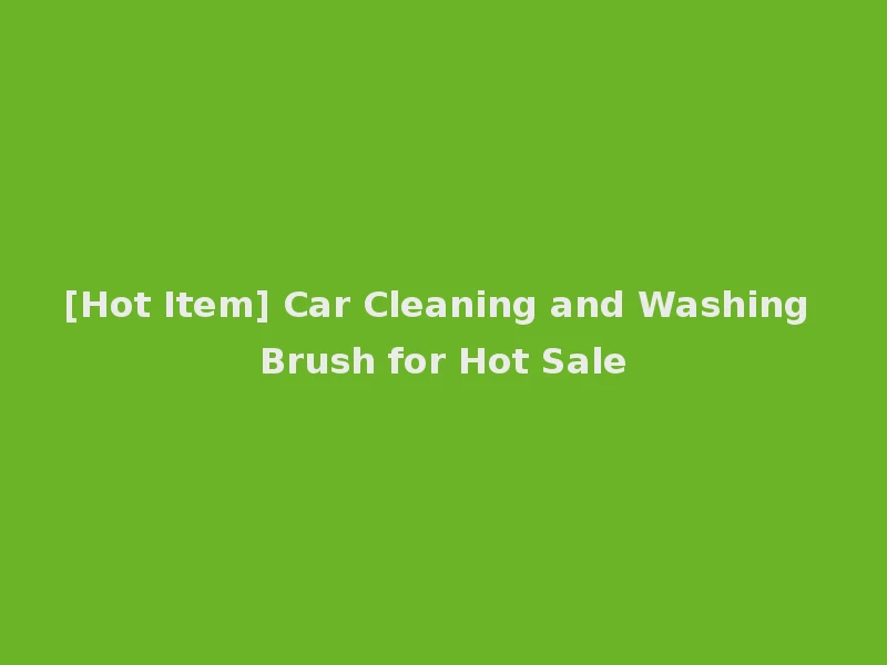 [Hot Item] Car Cleaning and Washing Brush for Hot Sale