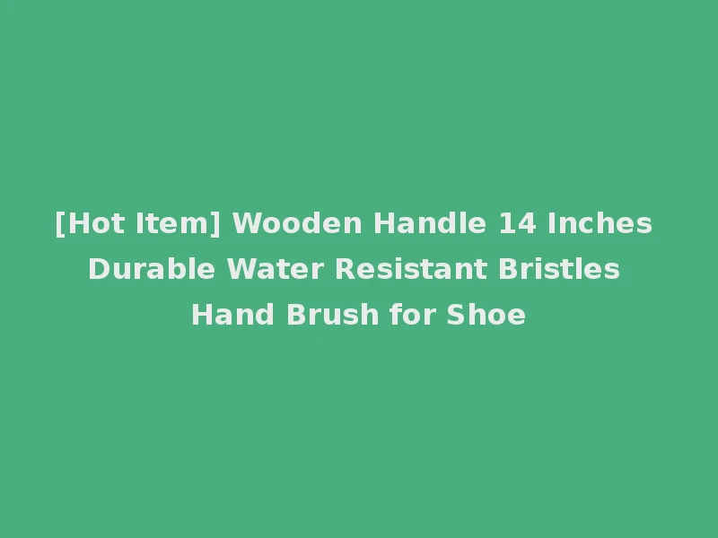 [Hot Item] Wooden Handle 14 Inches Durable Water Resistant Bristles Hand Brush for Shoe