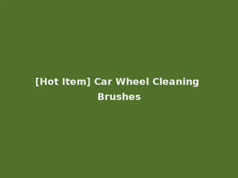 [Hot Item] Car Wheel Cleaning Brushes
