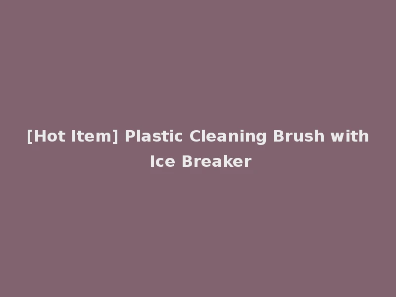 [Hot Item] Plastic Cleaning Brush with Ice Breaker