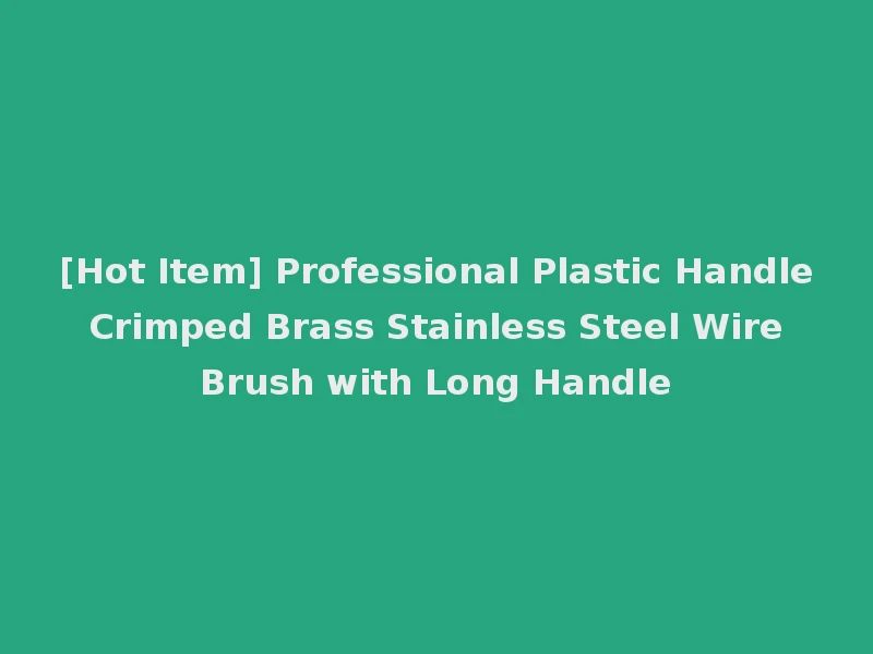 [Hot Item] Professional Plastic Handle Crimped Brass Stainless Steel Wire Brush with Long Handle