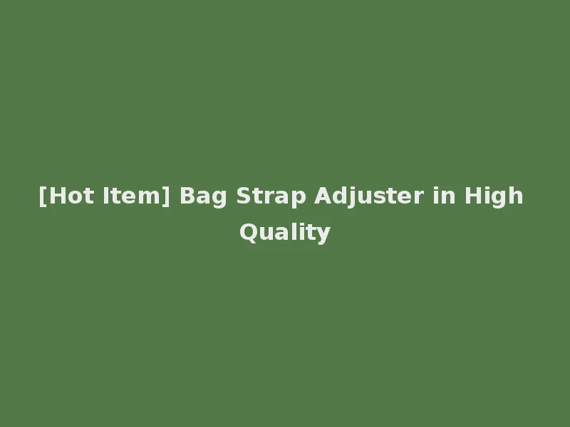 [Hot Item] Bag Strap Adjuster in High Quality