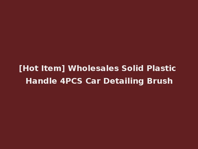 [Hot Item] Wholesales Solid Plastic Handle 4PCS Car Detailing Brush