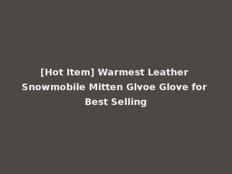 [Hot Item] Warmest Leather Snowmobile Mitten Glvoe Glove for Best Selling