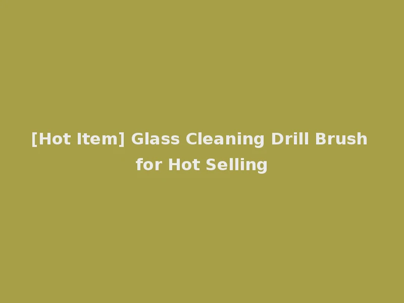 [Hot Item] Glass Cleaning Drill Brush for Hot Selling