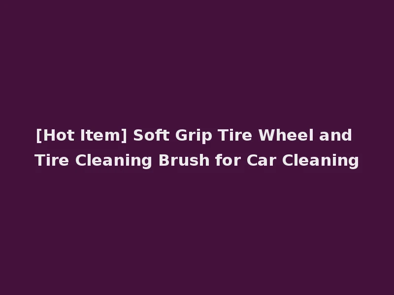 [Hot Item] Soft Grip Tire Wheel and Tire Cleaning Brush for Car Cleaning