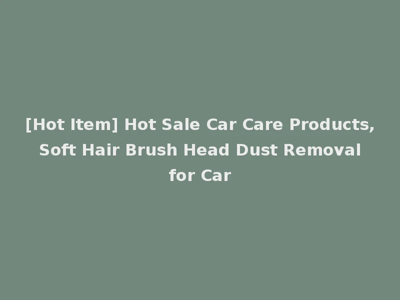 [Hot Item] Hot Sale Car Care Products, Soft Hair Brush Head Dust Removal for Car
