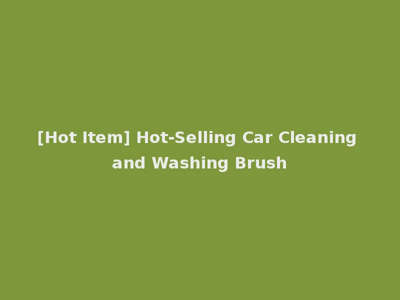 [Hot Item] Hot-Selling Car Cleaning and Washing Brush