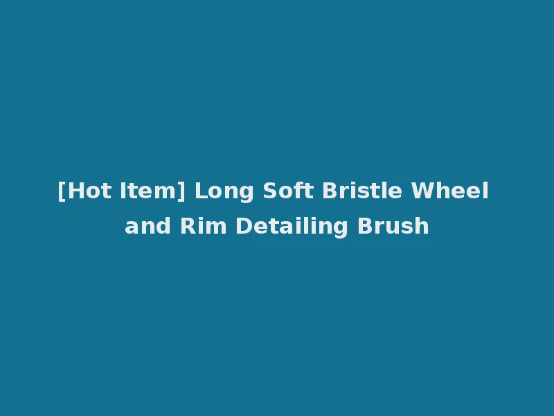 [Hot Item] Long Soft Bristle Wheel and Rim Detailing Brush