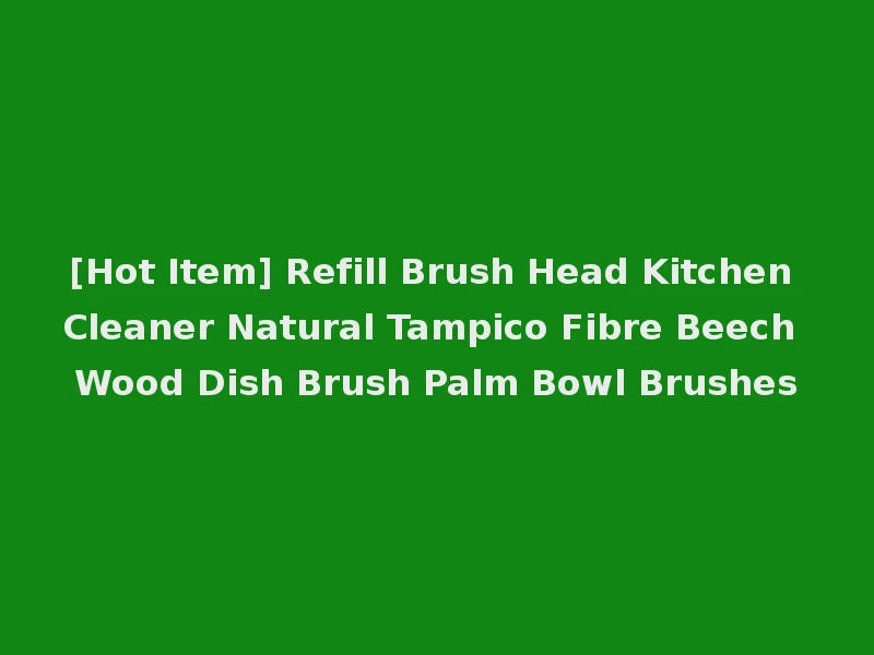 [Hot Item] Refill Brush Head Kitchen Cleaner Natural Tampico Fibre Beech Wood Dish Brush Palm Bowl Brushes