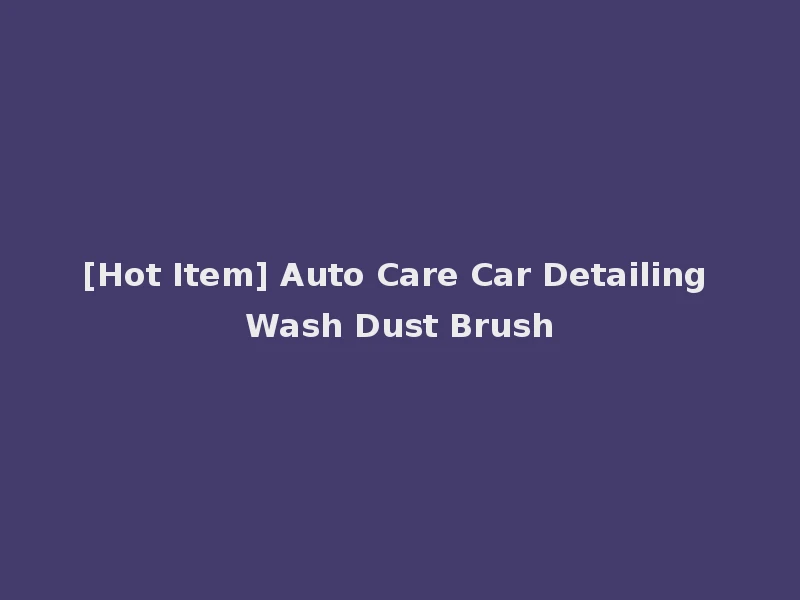 [Hot Item] Auto Care Car Detailing Wash Dust Brush
