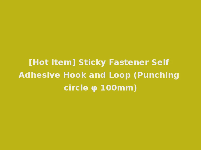 [Hot Item] Sticky Fastener Self Adhesive Hook and Loop (Punching circle φ 100mm)