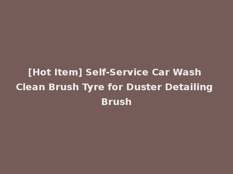 [Hot Item] Self-Service Car Wash Clean Brush Tyre for Duster Detailing Brush