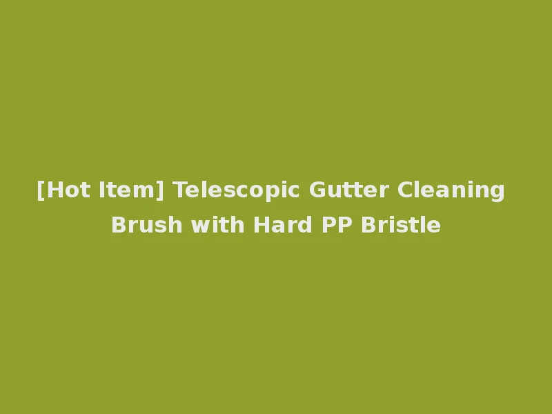 [Hot Item] Telescopic Gutter Cleaning Brush with Hard PP Bristle