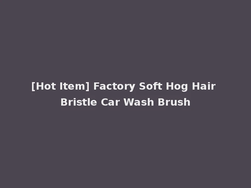 [Hot Item] Factory Soft Hog Hair Bristle Car Wash Brush
