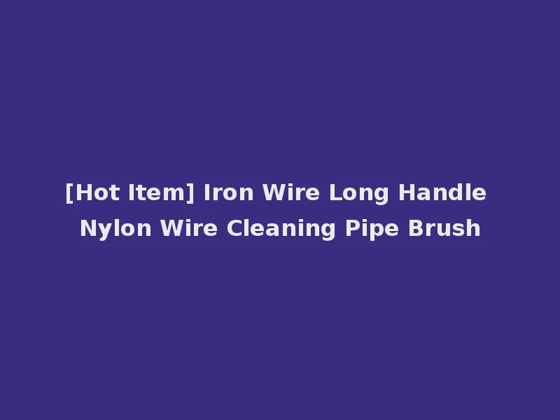 [Hot Item] Iron Wire Long Handle Nylon Wire Cleaning Pipe Brush