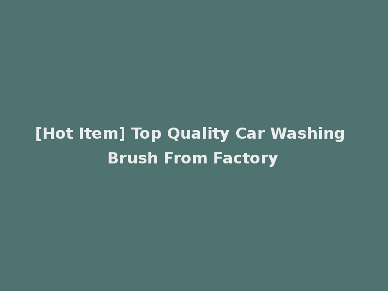 [Hot Item] Top Quality Car Washing Brush From Factory