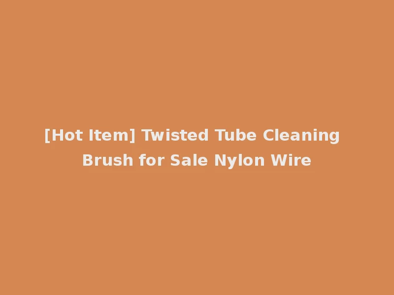 [Hot Item] Twisted Tube Cleaning Brush for Sale Nylon Wire