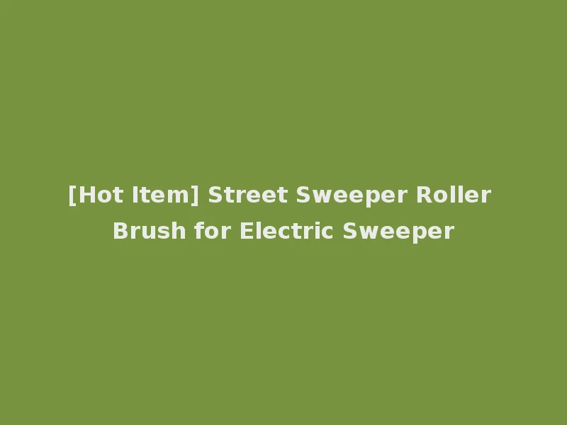[Hot Item] Street Sweeper Roller Brush for Electric Sweeper